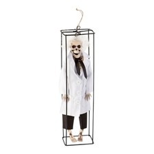 Hanging Skeleton Scientist